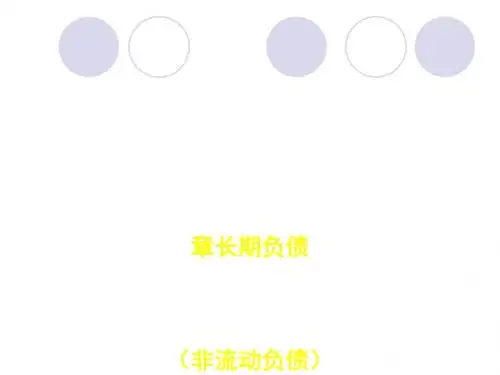 长期负债概述 (PPT 44张)