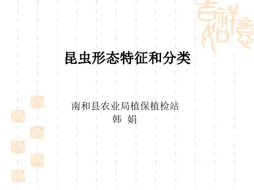 昆虫形态特征和分类