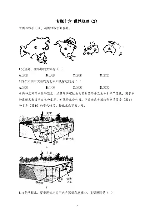 2023届高考地理高频考点综合练习：专题十六 世界地理(2)