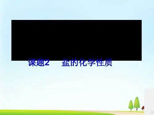 人教版初中化学九下11.1 生活中常见的盐- 盐的化学性质 课件