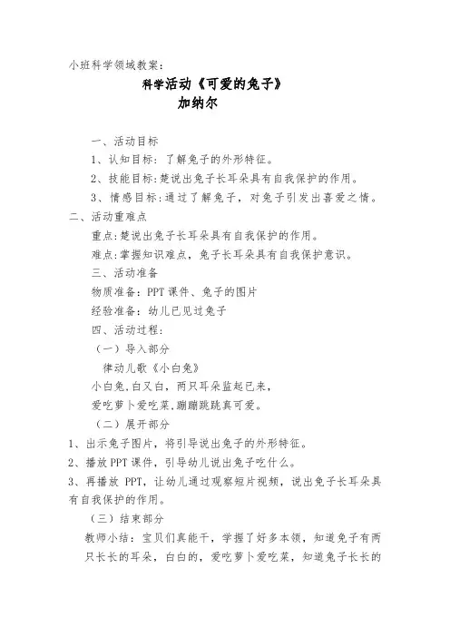中班科学领域教案《可爱的兔子》  公开课教学设计