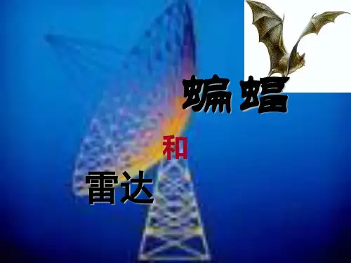 新版四年级上册-《蝙蝠和雷达》 人教(部编版)PPT共26PPT
