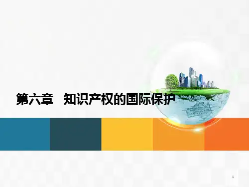 第六章--知识产权的国际保护PPT课件