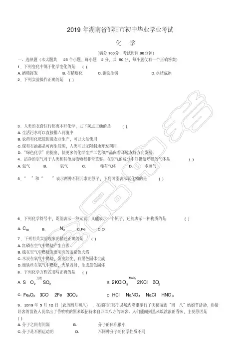 2019-2020湖南省邵阳市中考化学试题(含解析)