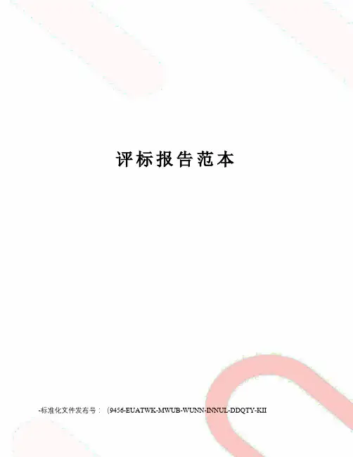 评标报告范本