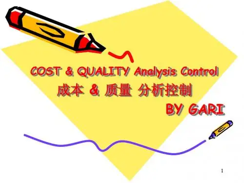 Cost&Quality Action plan111