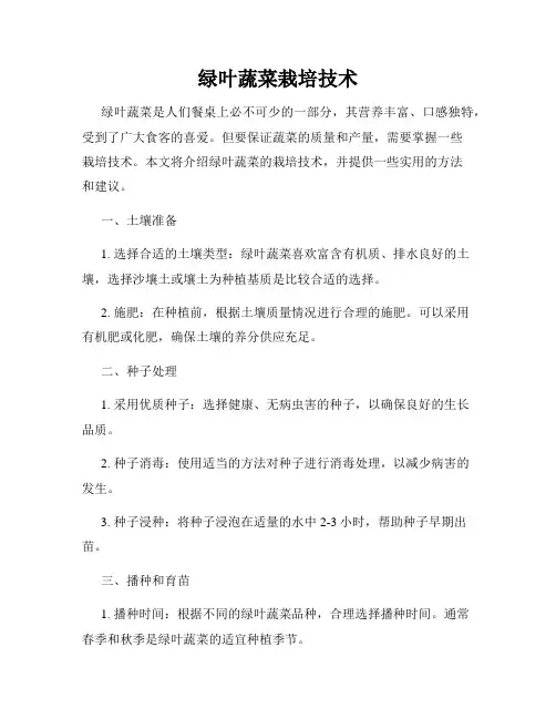 绿叶蔬菜栽培技术
