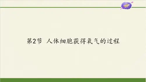 北师大版初中生物七年级下册课件-4.10.2 人体细胞获得氧气的过程4