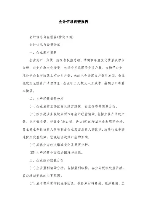会计信息自查报告