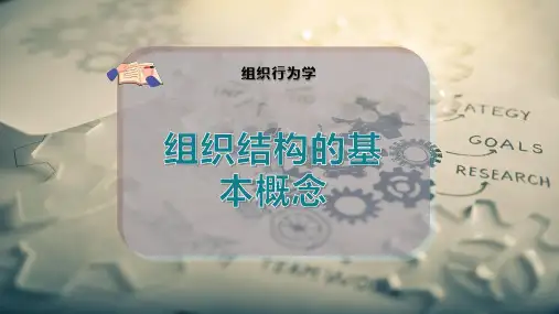 组织结构的基本概念