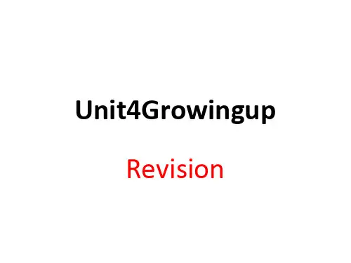 牛津译林版九年级英语上册Unit4Revision(复习专用)(共24张PPT)