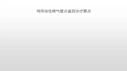 鸡传染性喉气管炎鉴别诊疗要点