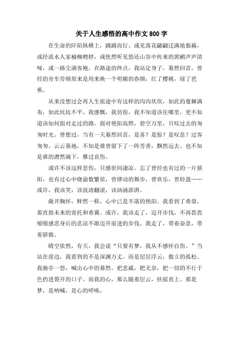 关于人生感悟的高中作文800字