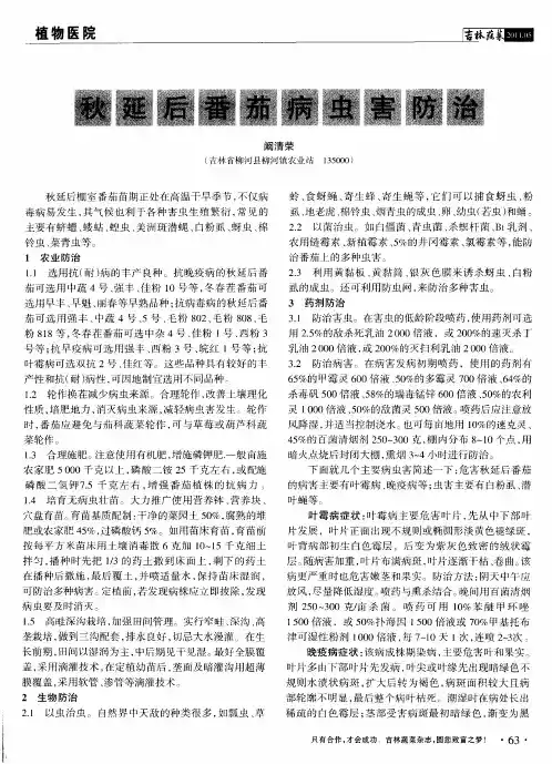 秋延后番茄病虫害防治