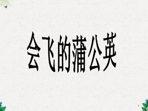 五年级下册语文课件-会飞的蒲公英4