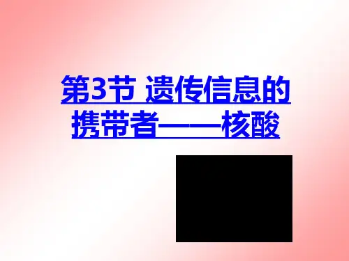 高中生物第3节 遗传信息的携带者——核酸优秀课件