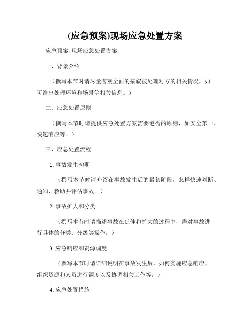 (应急预案)现场应急处置方案