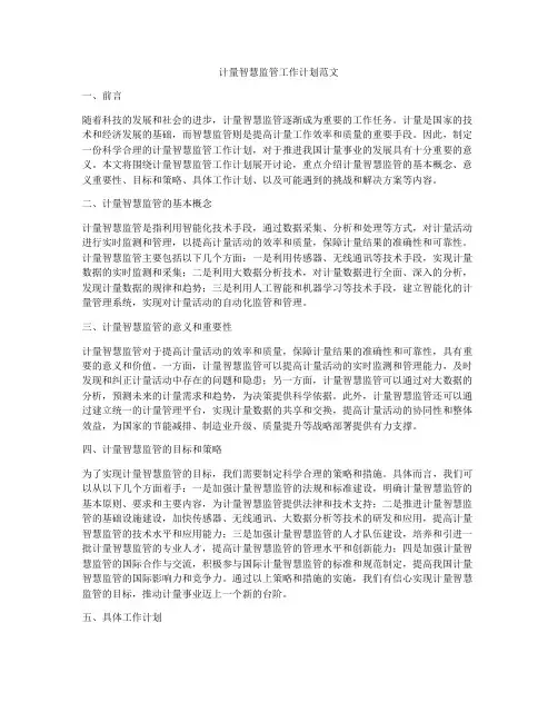 计量智慧监管工作计划范文