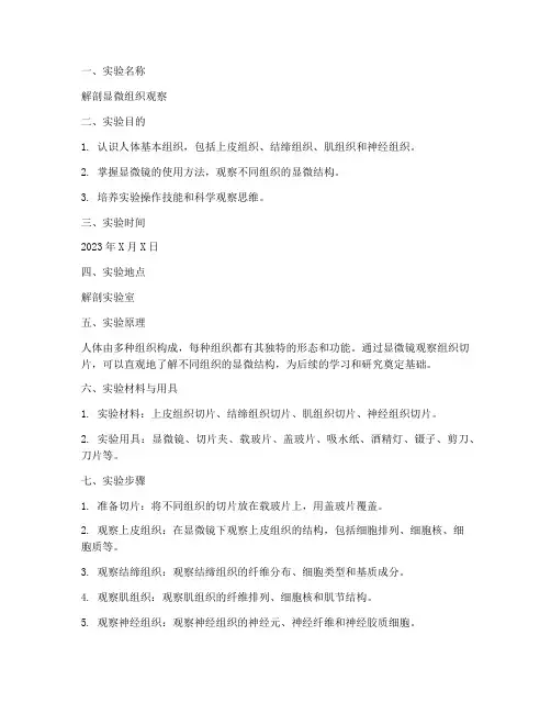 解剖显微组织实验报告