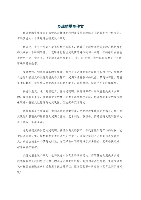 灵魂的重量作文