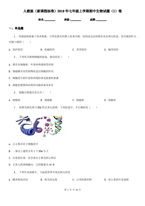 人教版(新课程标准)2019年七年级上学期期中生物试题(I)卷