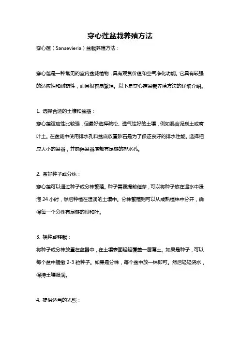 穿心莲盆栽养殖方法
