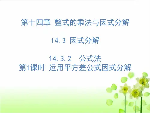 第1课时 用平方差公式进行因式分解