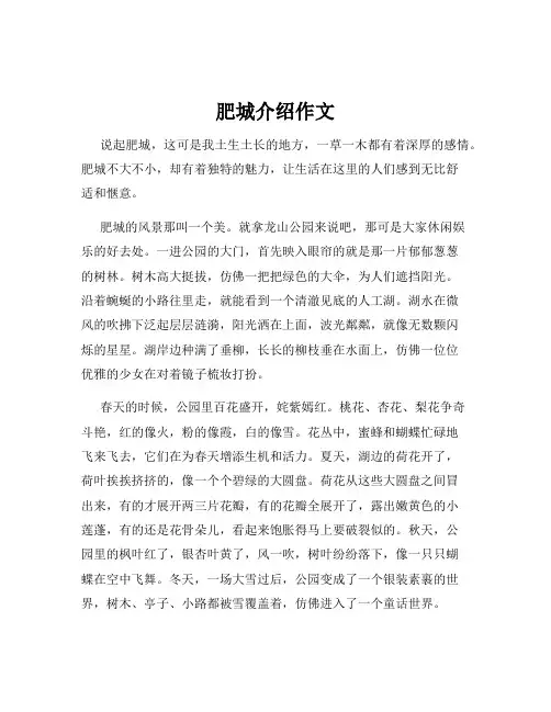 肥城介绍作文