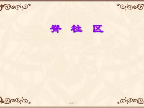 脊柱解剖  ppt课件