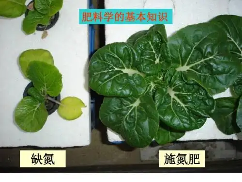 肥料学的基本知识(讲)PPT