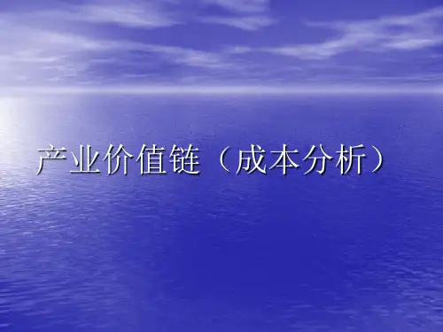 产业价值链分析PPT精品文档54页