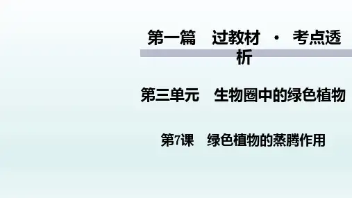 《绿色植物的蒸腾作用》中考复习生物课件