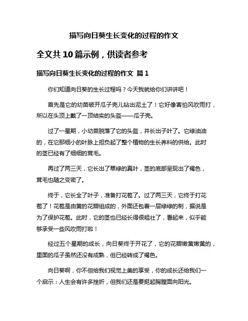 描写向日葵生长变化的过程的作文