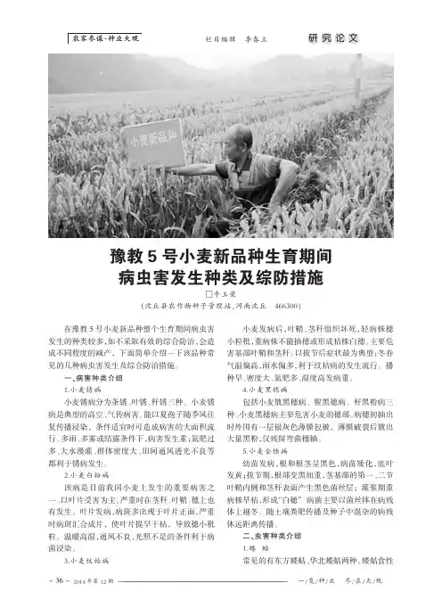 豫教5号小麦新品种生育期间病虫害发生种类及综防措施