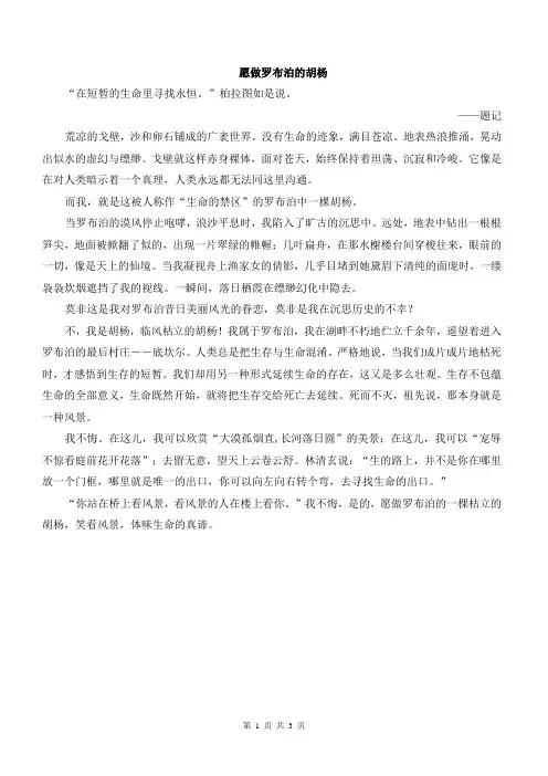 初中作文初中满分作文范文 愿做罗布泊的胡杨 (2)