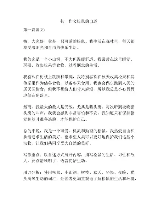 初一作文松鼠的自述