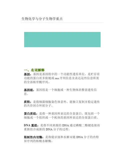 生物化学与分子生物学重点
