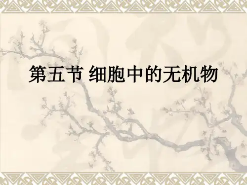 人教版高中生物必修一课件第二章第五节细胞中的无机物课件(共22张PPT)