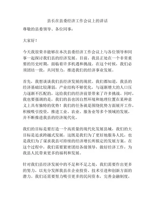 县长在县委经济工作会议上的讲话