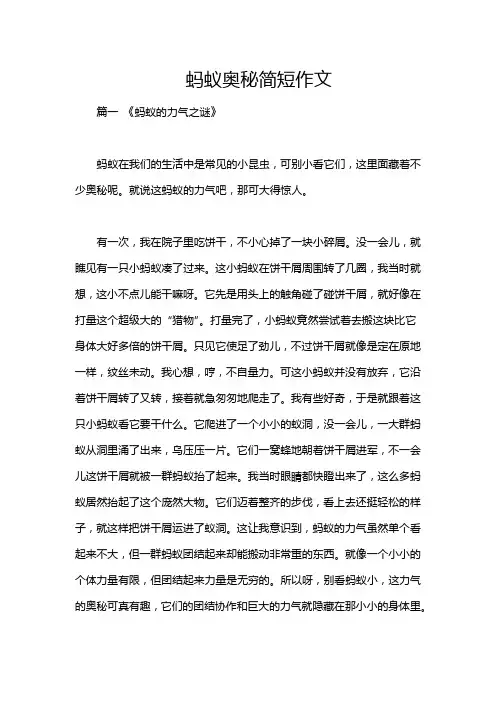 蚂蚁奥秘简短作文