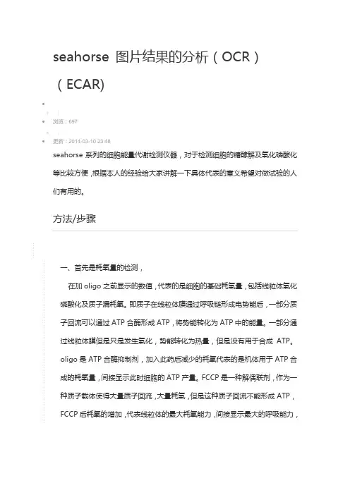 seahorse 图片结果的分析
