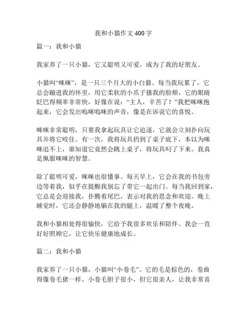 我和小猫作文400字