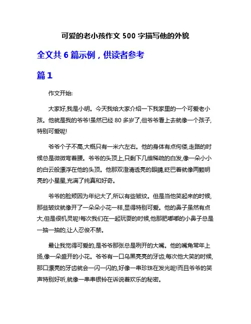 可爱的老小孩作文500字描写他的外貌