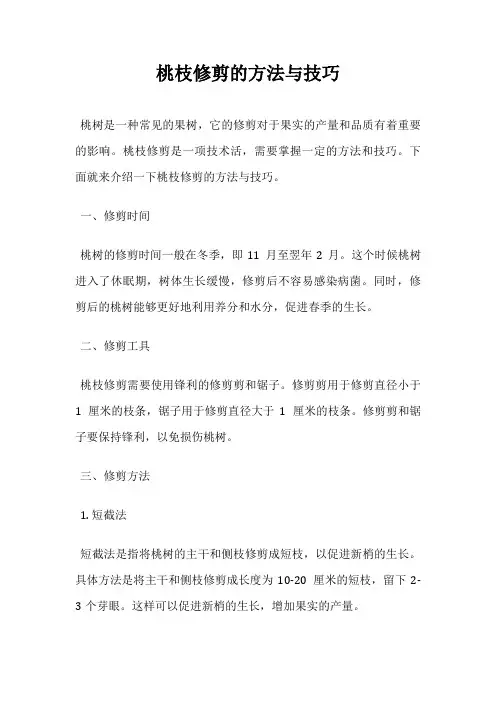 桃枝修剪的方法与技巧