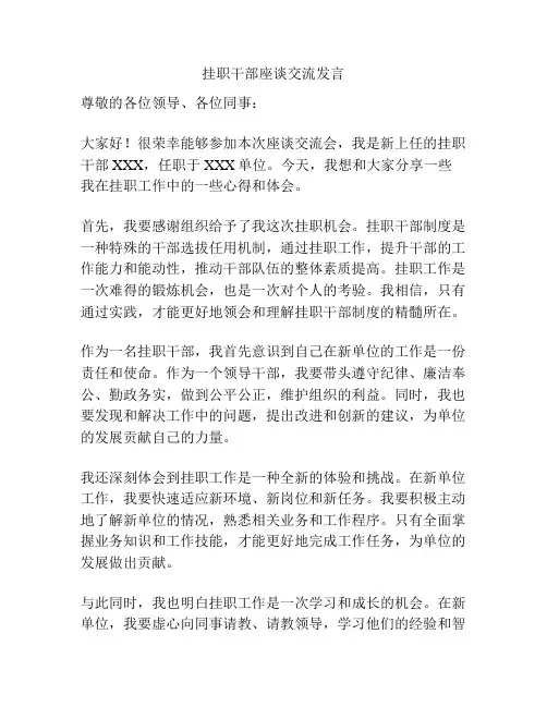 挂职干部座谈交流发言
