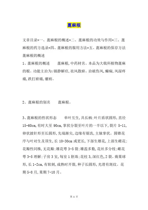 蓖麻根