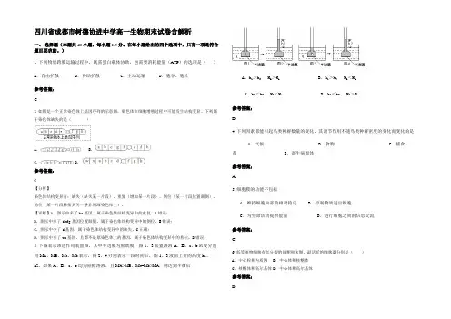 四川省成都市树德协进中学高一生物期末试卷含解析