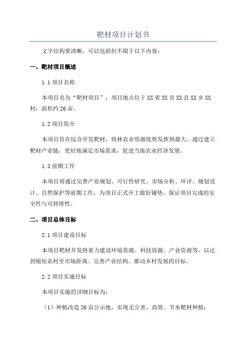 靶材项目计划书
