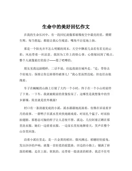 生命中的美好回忆作文