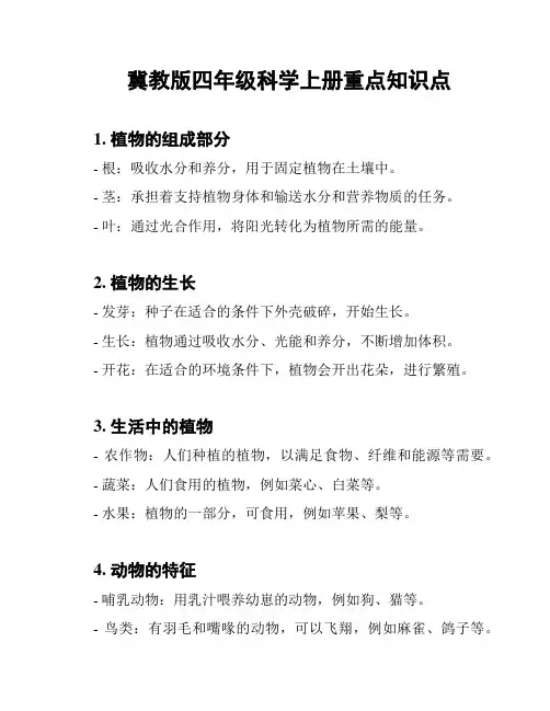 冀教版四年级科学上册重点知识点